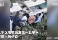 家人乘坐小公共汽车参加葬礼哀悼。不幸的是，陆羽发生车祸，9人死亡，5人受伤。