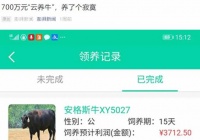 “22万被五牛抢走”:我以为自己是牛的主人，结果却是牛嘴里的韭菜。