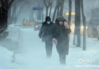 下雨！雪！冷静！