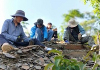 90后研究生在5亿年前以周杰伦专辑《范特西蠕虫》为三叶虫命名。