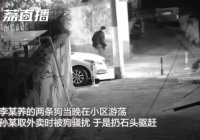 男子被狗骚扰扔石头驱赶，竟被狗主人捅死！网友吵翻了……