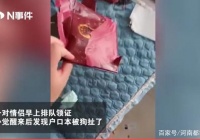 5·20刚办结婚证，回家了后户口簿就被小狗撕……烂……了……